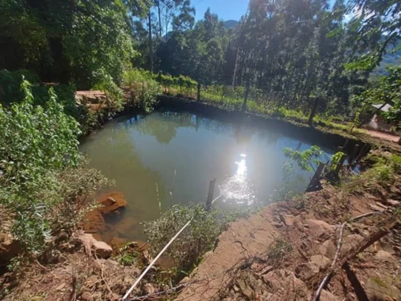 Foto 4 de 15: Terreno em leilão em São Francisco De Paula - RS — Casa - São Francisco de Paula - RS
