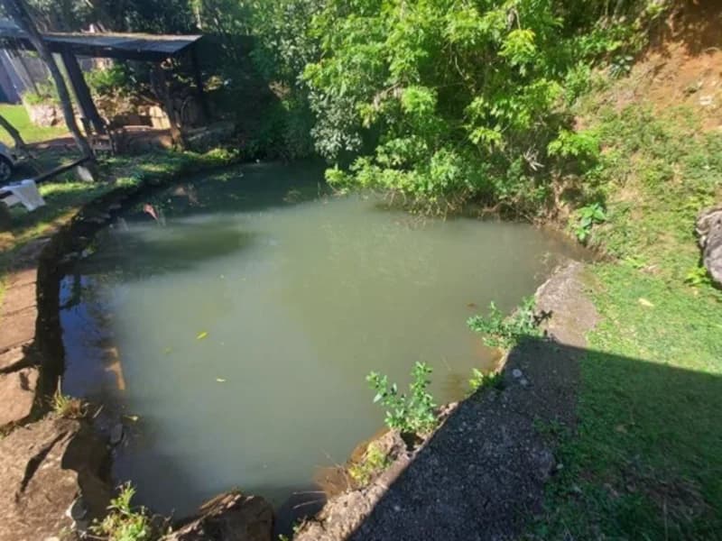 Foto 7 de 15: Terreno em leilão em São Francisco De Paula - RS — Casa - São Francisco de Paula - RS