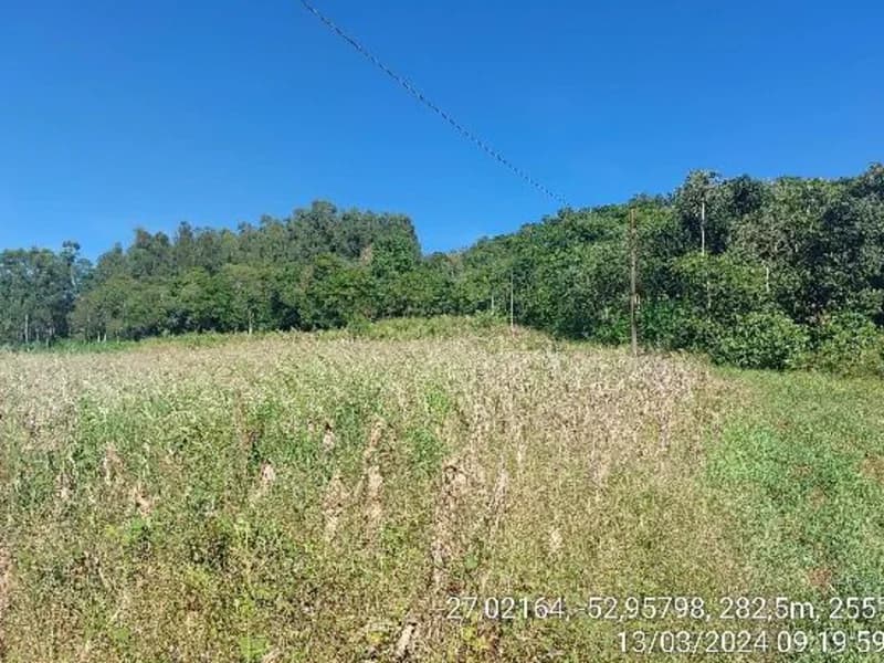 Foto 6 de 8: Terreno em leilão em Águas De Chapecó - SC — Terreno - Águas de Chapecó - SC