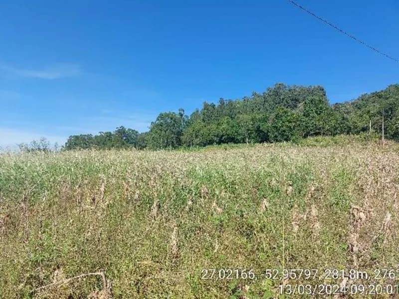 Foto 1 de 8: Terreno em leilão em Águas De Chapecó - SC — Terreno - Águas de Chapecó - SC