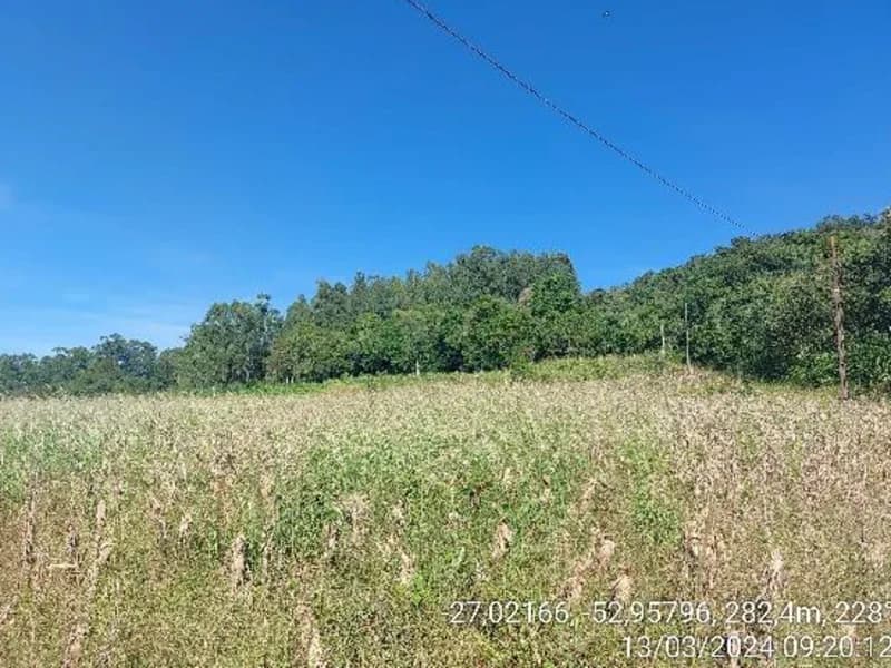 Foto 2 de 8: Terreno em leilão em Águas De Chapecó - SC — Terreno - Águas de Chapecó - SC