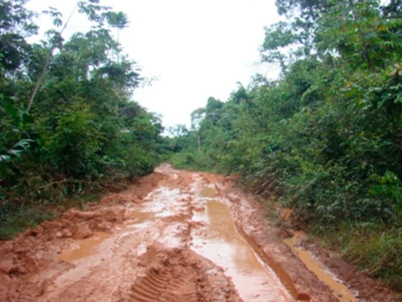 Foto 4 de 7: Area Rural em leilão em Juruena - MT — Terreno - Juruena - MT
