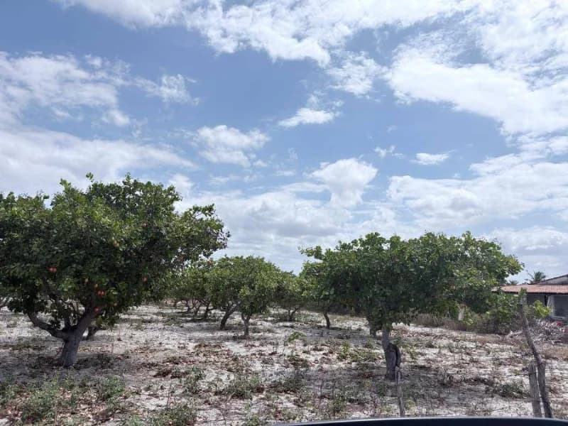 Foto 2 de 3: Terreno em leilão em Pacajus - CE, bairro Tiririca — Loteamento - Pacajus - CE