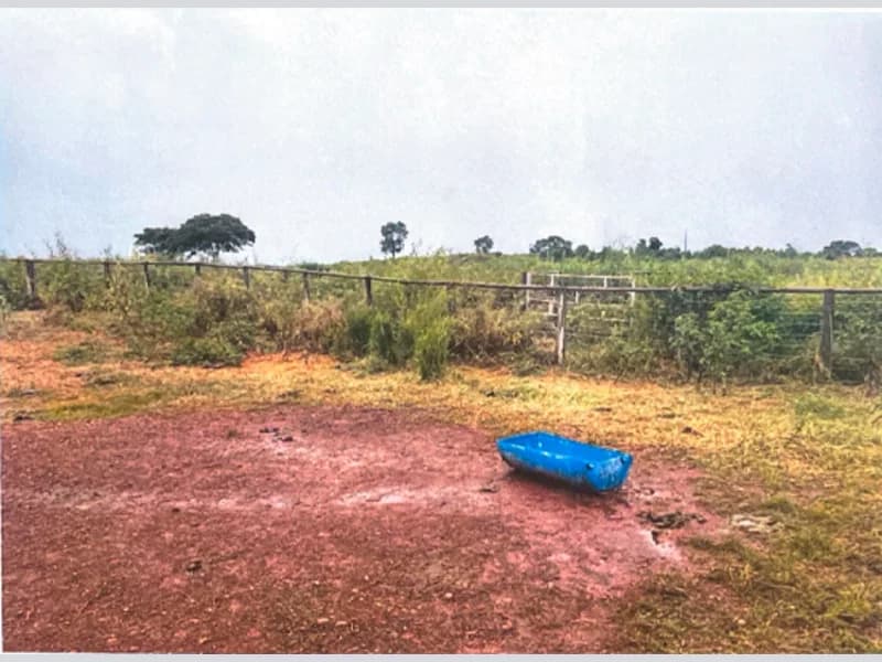 Foto 7 de 10: Area Rural em leilão em São Félix Do Araguaia - MT — Terreno - São Félix do Araguaia - MT