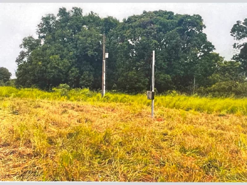 Foto 4 de 10: Area Rural em leilão em São Félix Do Araguaia - MT — Terreno - São Félix do Araguaia - MT