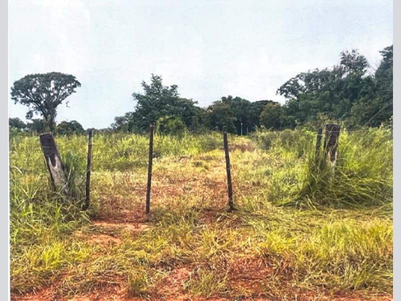 Foto 1 de 10: Area Rural em leilão em São Félix Do Araguaia - MT — Terreno - São Félix do Araguaia - MT