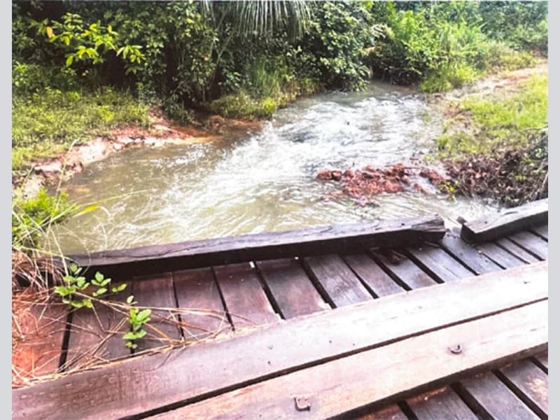 Foto 6 de 10: Area Rural em leilão em São Félix Do Araguaia - MT — Terreno - São Félix do Araguaia - MT