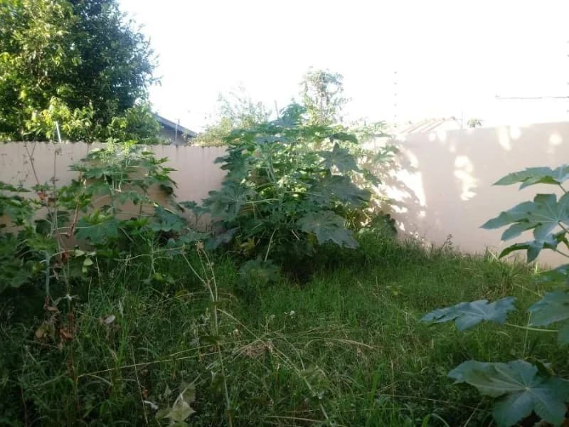 Foto 10 de 12: Casa em leilão em Campo Grande - MS, bairro Nova Campo Grande — Casa - Campo Grande - MS