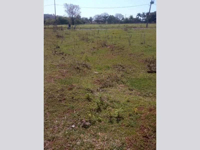 Foto 12 de 17: Terreno em leilão em Pérola - PR — Loteamento - Pérola - PR