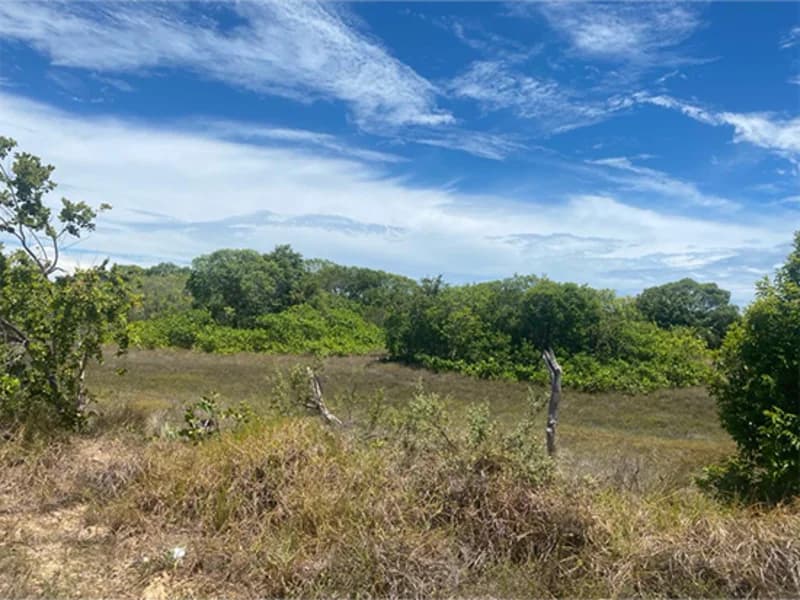 Foto 1 de 2: Terreno em leilão em Itaporanga D'ajuda - SE, bairro Vila Rica do Abais — Terreno - Itaporanga D'ajuda - SE