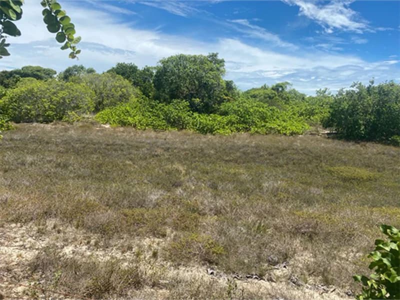 Foto 2 de 2: Terreno em leilão em Itaporanga D'ajuda - SE, bairro Vila Rica do Abais — Terreno - Itaporanga D'ajuda - SE