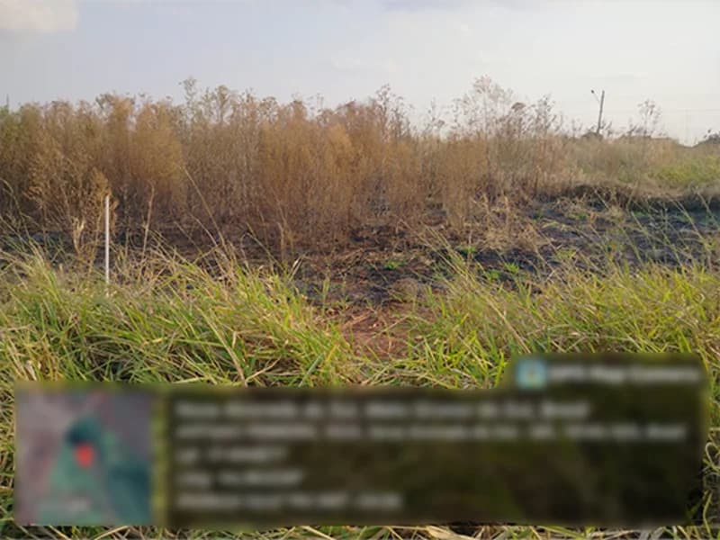 Foto 3 de 4: Terreno em leilão em Nova Alvorada Do Sul - MS — Terreno - Nova Alvorada do Sul - MS