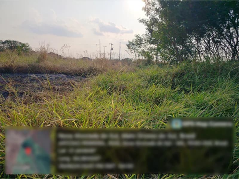 Foto 4 de 4: Terreno em leilão em Nova Alvorada Do Sul - MS — Terreno - Nova Alvorada do Sul - MS