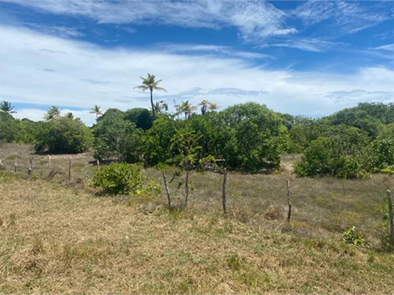 Foto 2 de 2: Terreno em leilão em Itaporanga D'ajuda - SE, bairro Loteamento Vila Rica do Abais — Terreno - Itaporanga D'ajuda - SE