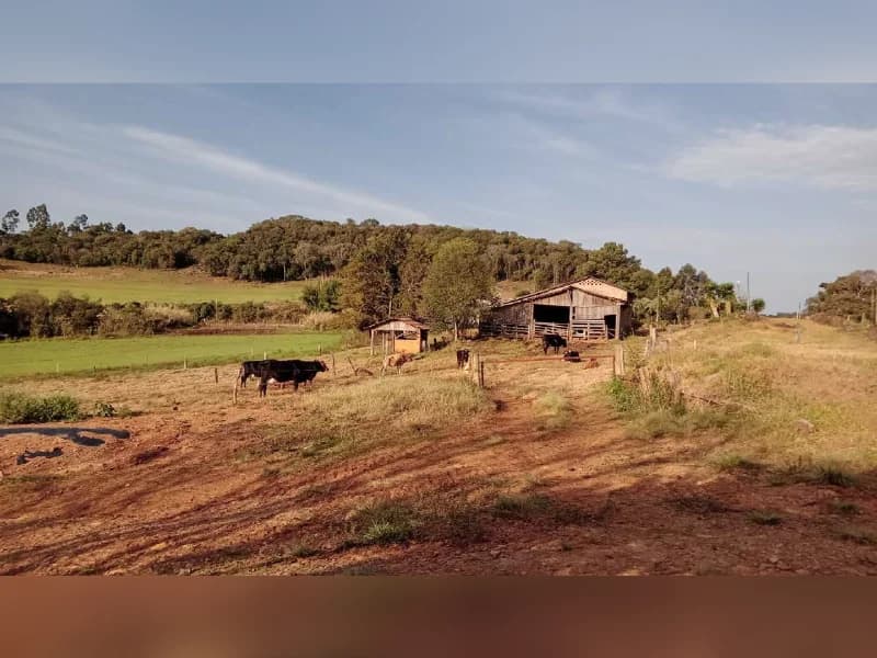 Foto 1 de 5: Area Rural em leilão em Celso Ramos - SC — Área Rural - Celso Ramos/SC Matrícula 11.702
