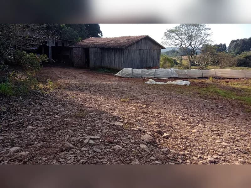 Foto 2 de 5: Area Rural em leilão em Celso Ramos - SC — Área Rural - Celso Ramos/SC Matrícula 11.702