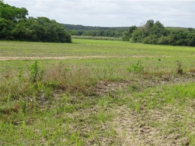 Foto 4 de 14: Terreno em leilão em Encruzilhada Do Sul - RS — Terreno - Encruzilhada do Sul - RS