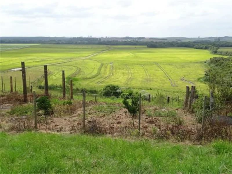 Foto 1 de 14: Terreno em leilão em Encruzilhada Do Sul - RS — Terreno - Encruzilhada do Sul - RS