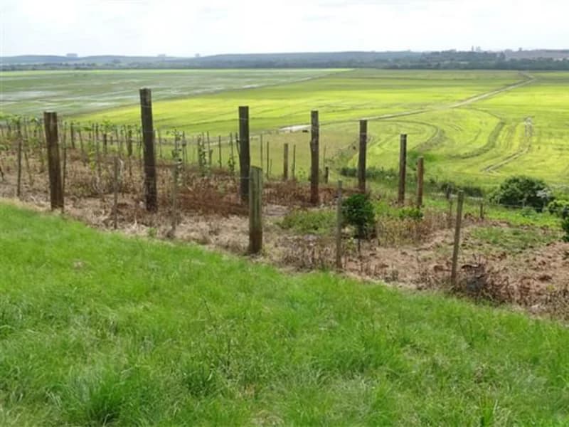 Foto 10 de 14: Terreno em leilão em Encruzilhada Do Sul - RS — Terreno - Encruzilhada do Sul - RS