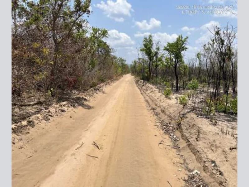 Foto 4 de 6: Area Rural em leilão em Mirador - MA — Terreno Rural - Mirador - MA