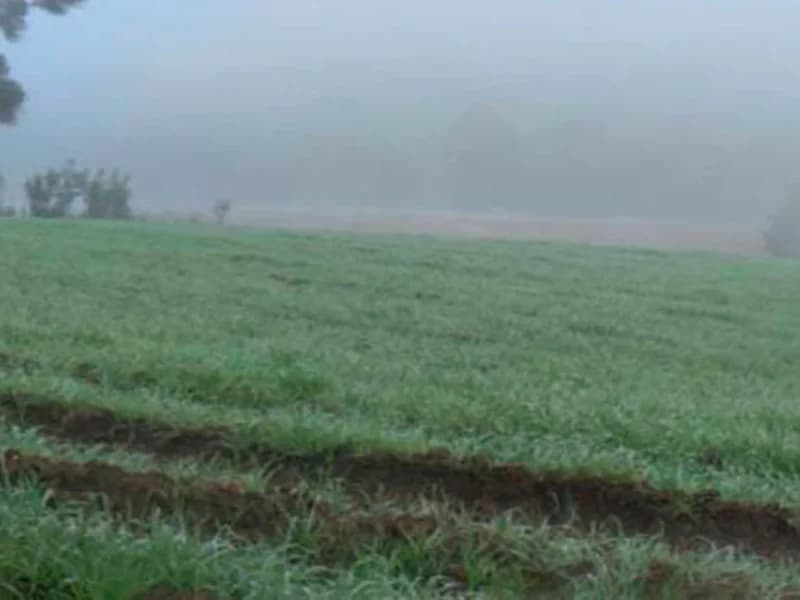 Foto 6 de 12: Terreno em leilão em Paula Freitas - PR — Terreno - Paula Freitas - PR