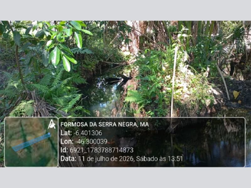 Foto 7 de 13: Area Rural em leilão em Formosa Da Serra Negra - MA — Terreno - Formosa da Serra Negra - MA