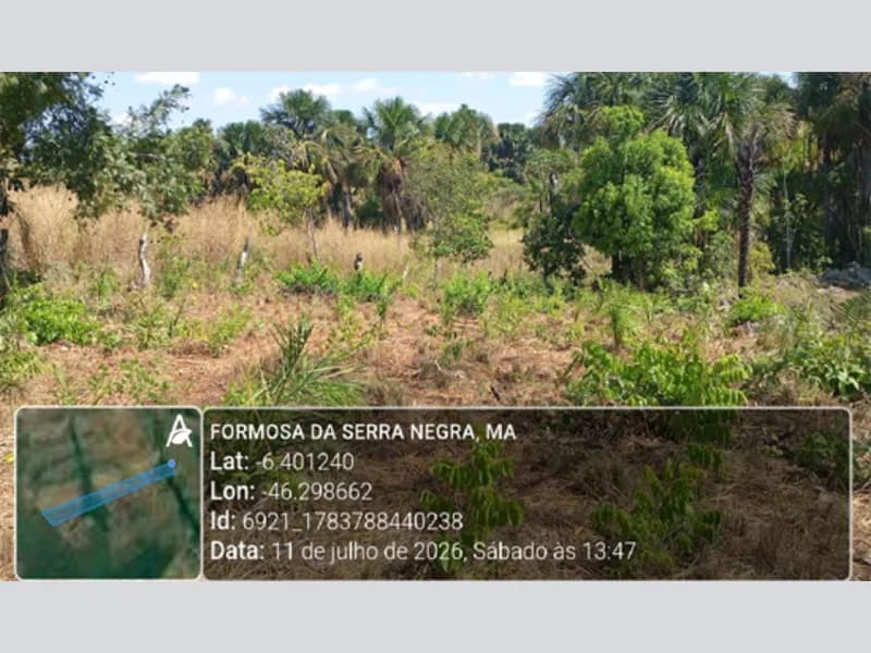 Foto 11 de 13: Area Rural em leilão em Formosa Da Serra Negra - MA — Terreno - Formosa da Serra Negra - MA