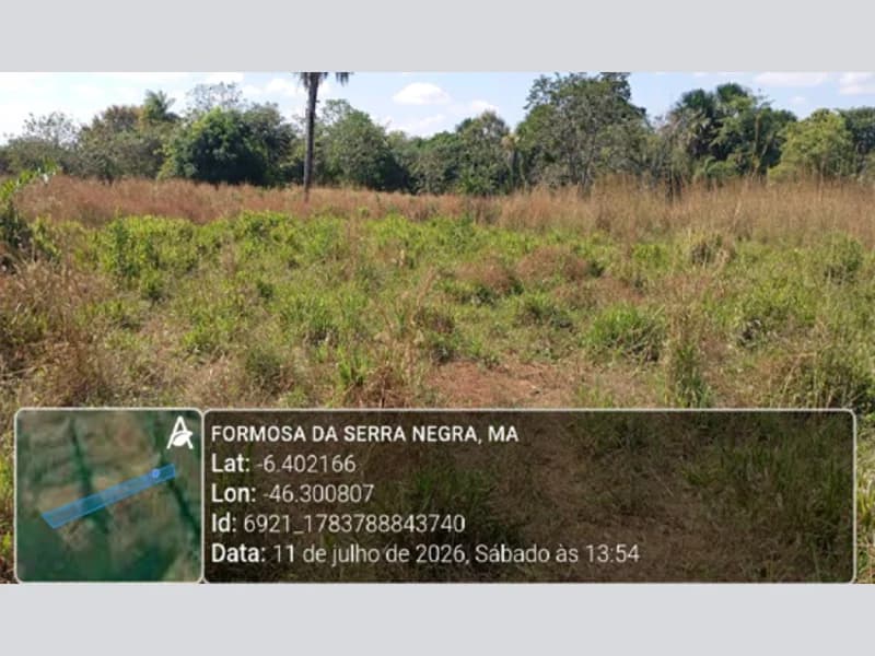 Foto 4 de 13: Area Rural em leilão em Formosa Da Serra Negra - MA — Terreno - Formosa da Serra Negra - MA