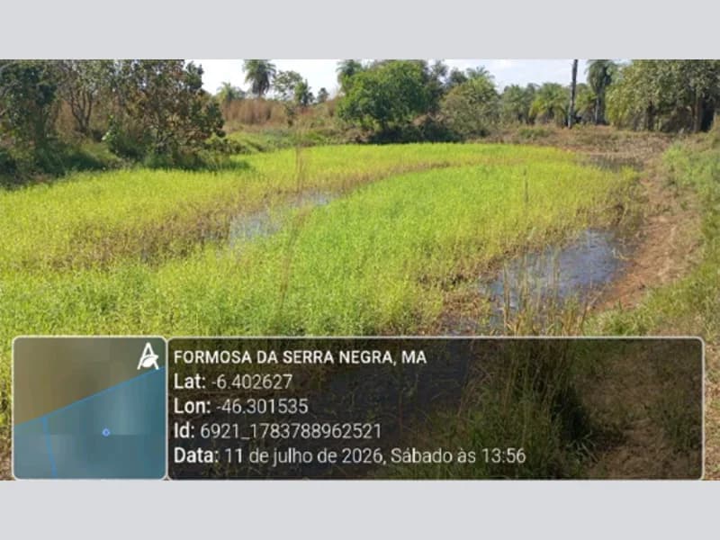 Foto 1 de 13: Area Rural em leilão em Formosa Da Serra Negra - MA — Terreno - Formosa da Serra Negra - MA