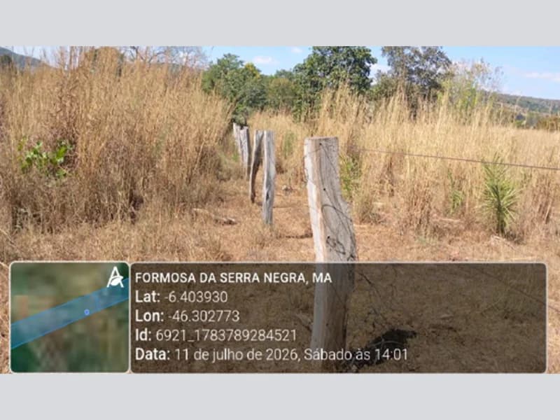Foto 8 de 13: Area Rural em leilão em Formosa Da Serra Negra - MA — Terreno - Formosa da Serra Negra - MA