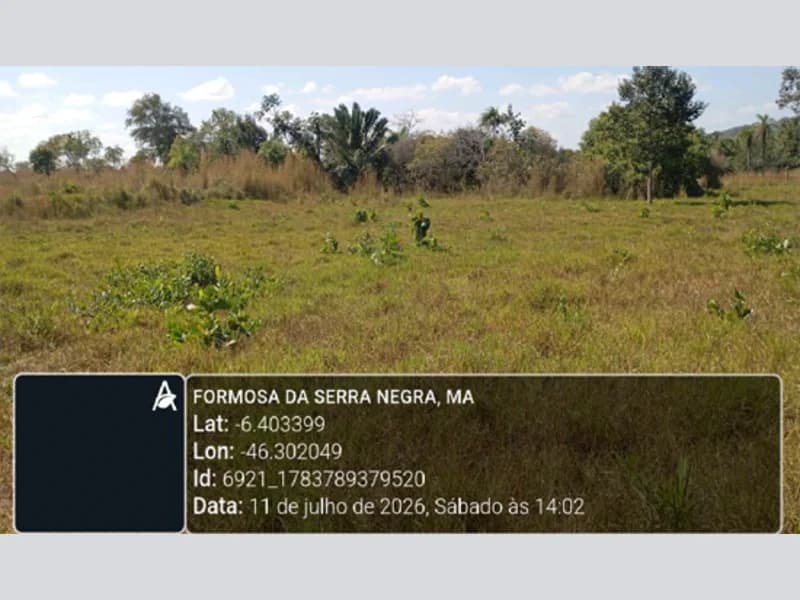Foto 3 de 13: Area Rural em leilão em Formosa Da Serra Negra - MA — Terreno - Formosa da Serra Negra - MA