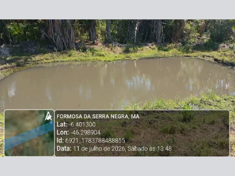 Foto 6 de 13: Area Rural em leilão em Formosa Da Serra Negra - MA — Terreno - Formosa da Serra Negra - MA