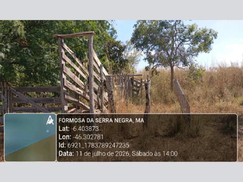 Foto 12 de 13: Area Rural em leilão em Formosa Da Serra Negra - MA — Terreno - Formosa da Serra Negra - MA