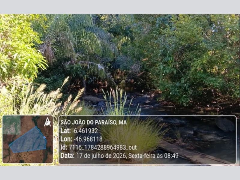 Foto 11 de 23: Area Rural em leilão em São João Do Paraíso - MA — Terreno - São João do Paraíso - MA