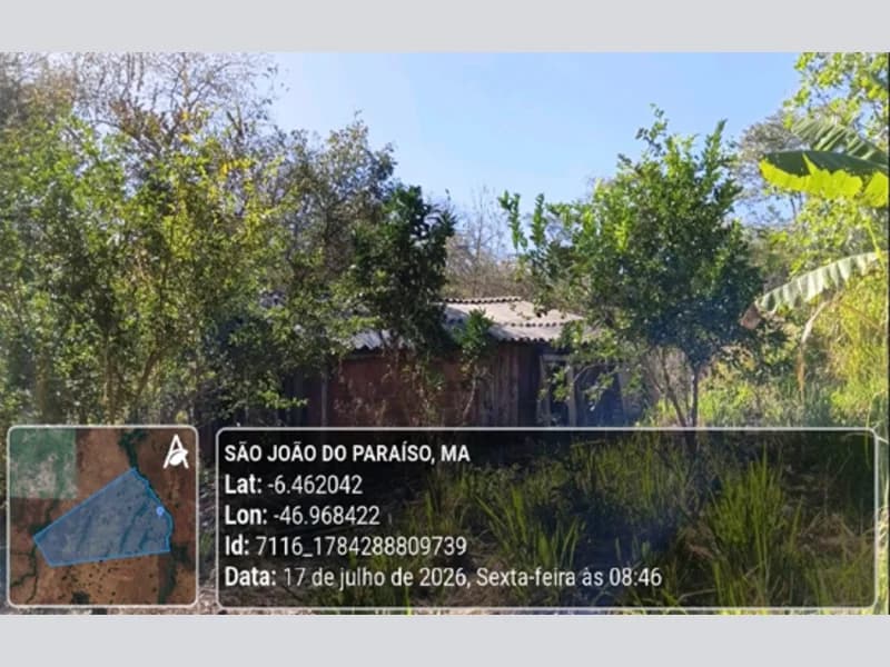 Foto 18 de 23: Area Rural em leilão em São João Do Paraíso - MA — Terreno - São João do Paraíso - MA