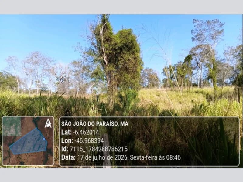 Foto 13 de 23: Area Rural em leilão em São João Do Paraíso - MA — Terreno - São João do Paraíso - MA