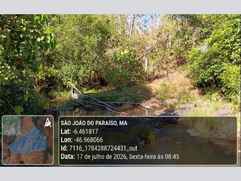 Foto 16 de 23: Area Rural em leilão em São João Do Paraíso - MA — Terreno - São João do Paraíso - MA