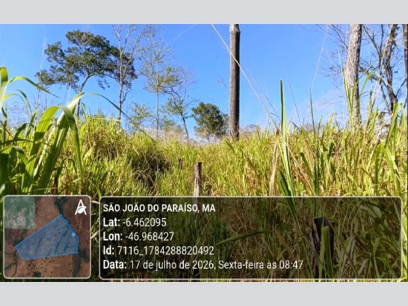Foto 8 de 23: Area Rural em leilão em São João Do Paraíso - MA — Terreno - São João do Paraíso - MA