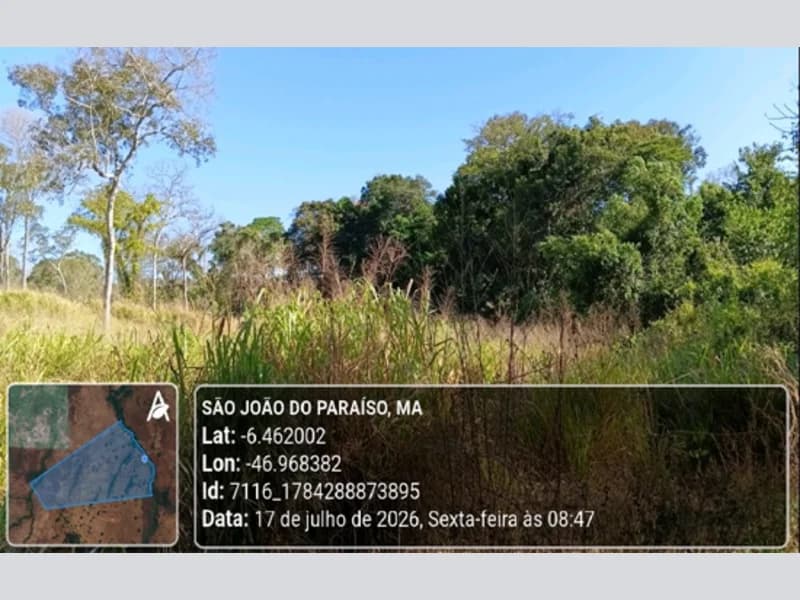 Foto 17 de 23: Area Rural em leilão em São João Do Paraíso - MA — Terreno - São João do Paraíso - MA