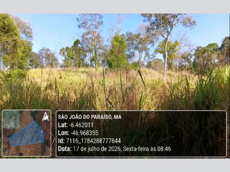 Foto 7 de 23: Area Rural em leilão em São João Do Paraíso - MA — Terreno - São João do Paraíso - MA