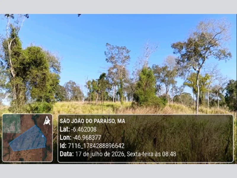 Foto 21 de 23: Area Rural em leilão em São João Do Paraíso - MA — Terreno - São João do Paraíso - MA