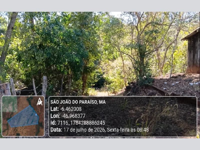Foto 22 de 23: Area Rural em leilão em São João Do Paraíso - MA — Terreno - São João do Paraíso - MA