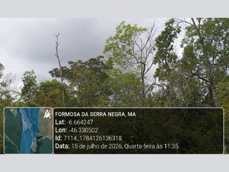 Foto 5 de 5: Area Rural em leilão em Formosa Da Serra Negra - MA — Terreno - Formosa da Serra Negra - MA