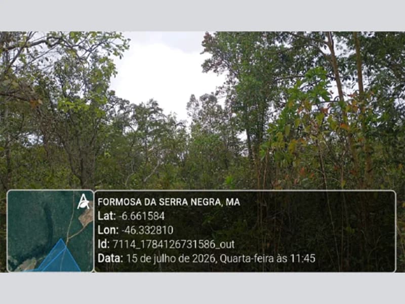 Foto 1 de 5: Area Rural em leilão em Formosa Da Serra Negra - MA — Terreno - Formosa da Serra Negra - MA