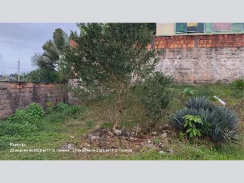 Foto 5 de 16: Terreno em leilão em Joinville - SC, bairro Floresta — Terreno - Joinville - SC