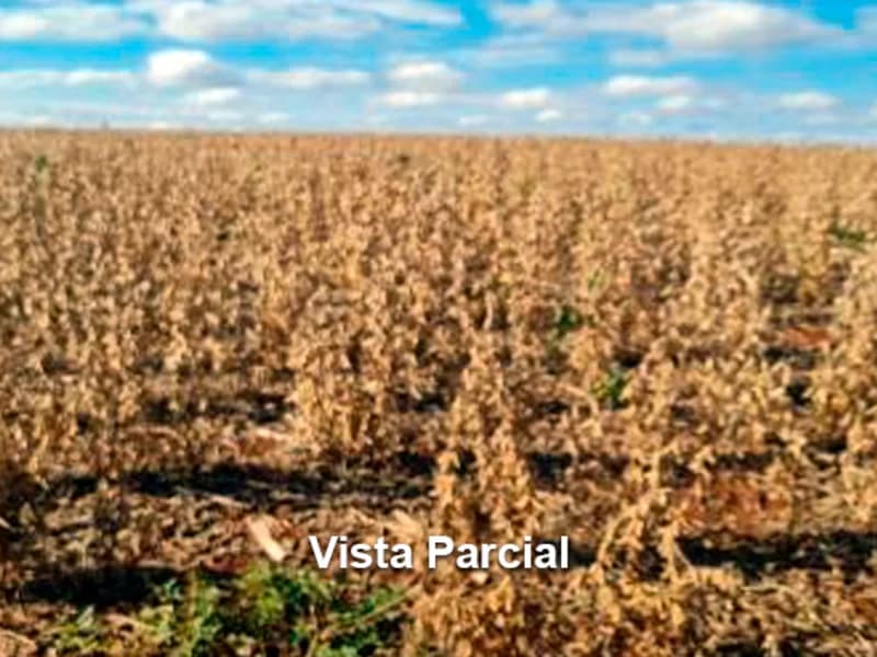 Foto 3 de 4: Area Rural em leilão em Concórdia - SC — Área Rural - Concórdia - SC