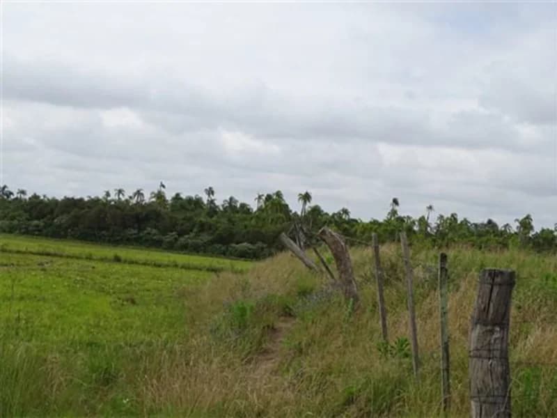 Foto 12 de 14: Terreno em leilão em Encruzilhada Do Sul - RS — Terreno - Encruzilhada do Sul - RS