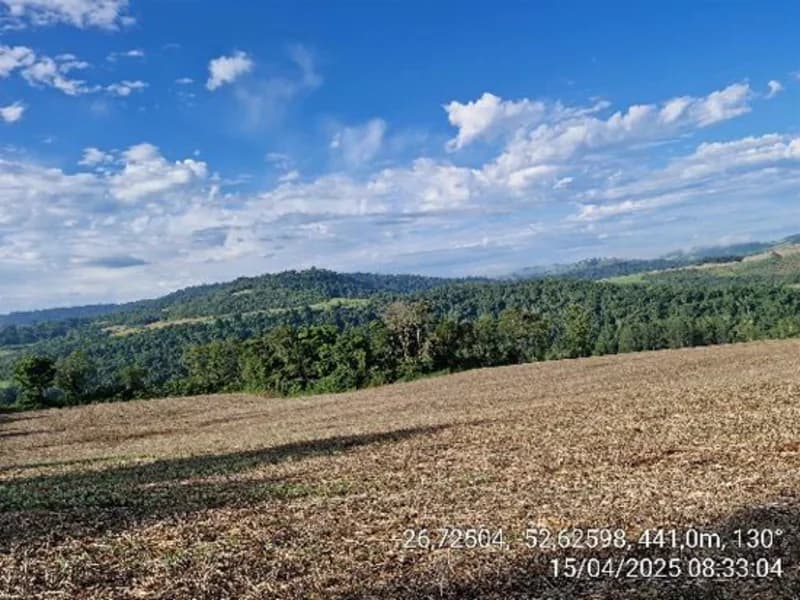 Foto 12 de 16: Terreno em leilão em Quilombo - SC, bairro Linha Nova Brasília — Terrenos - Quilombo - SC