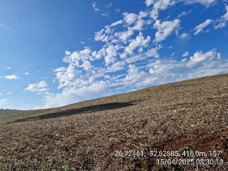 Foto 8 de 16: Terreno em leilão em Quilombo - SC, bairro Linha Nova Brasília — Terrenos - Quilombo - SC