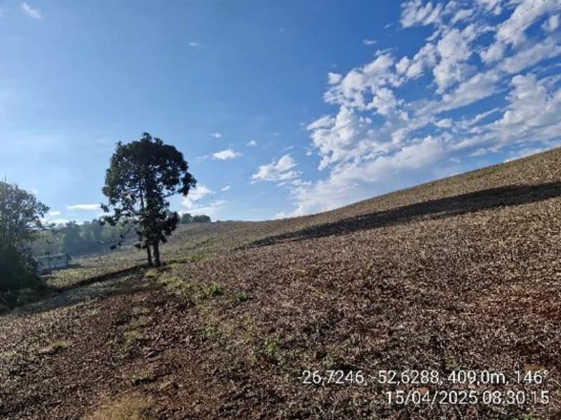 Foto 1 de 16: Terreno em leilão em Quilombo - SC, bairro Linha Nova Brasília — Terrenos - Quilombo - SC